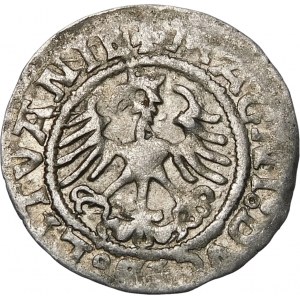 Sigismund I the Old, Half-penny 1521, Vilnius - error, SIGISMVANDI - very rare