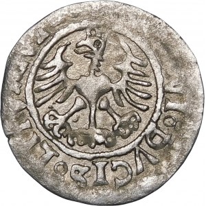 Sigismund I. der Alte, Halber Pfennig 1525, Vilnius