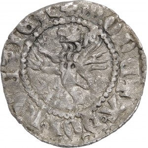 Casimir III the Great, Rus' Quarter, Lviv - single rings