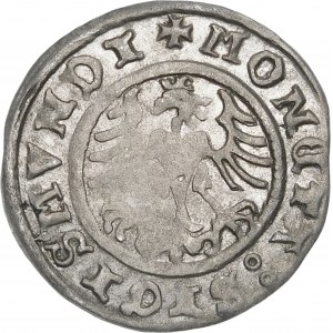 Sigismund I. der Alte, Halbpfennig 1509, Krakau
