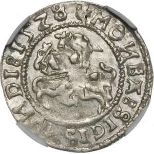 Sigismund I. der Alte, Halbpfennig 1528, Vilnius - ohne V - MOИEA Fehler - sehr selten und schön