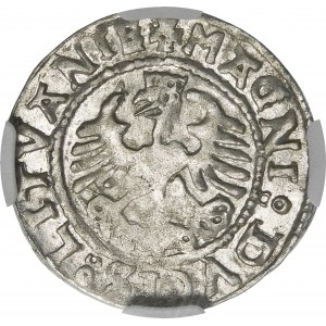 Zikmund I. Starý, půlpenny 1528, Vilnius - bez V - chyba MOИEA - velmi vzácné a krásné
