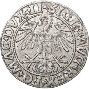 Zikmund II August, půlgroš 1550, Vilnius - LI/LITVA