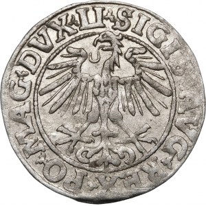 Zygmunt II August, Półgrosz 1551, Wilno – LI/LITVA – rzadszy