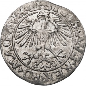 Sigismund II. Augustus, Halbergroschen 1551, Wilna - LI/LITVA