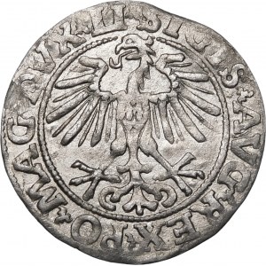 Zygmunt II August, Półgrosz 1551, Wilno – LI/LITVA
