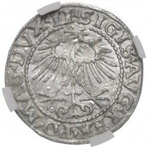 Sigismund II. Augustus, Halbergroschen 1552, Wilna - LI/LITVA