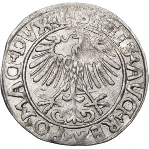 Sigismund II. Augustus, Halbergroschen 1556, Wilna - L/LITVA