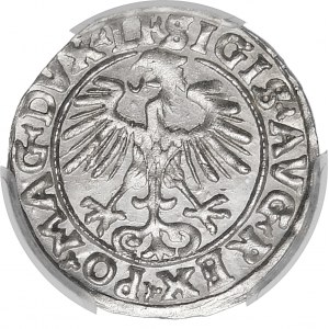 Zygmunt II August, Półgrosz 1556, Wilno – LI/LITVA – piękny