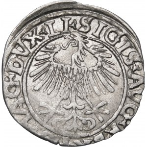 Sigismund II Augustus, Half-penny 1556, Vilnius - LI/LITVA - variant