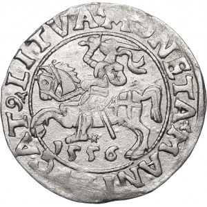 Zikmund II Augustus, půlpenny 1556, Vilnius - LI/LITVA - MANI chyba - vzácné