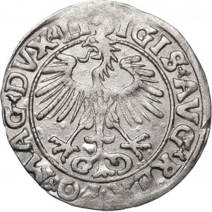 Sigismund II Augustus, Halbpfennig 1556, Vilnius - LI/LITVA - MANI Fehler - selten
