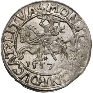 Zygmunt II August, Półgrosz 1557, Wilno – L/LITVA