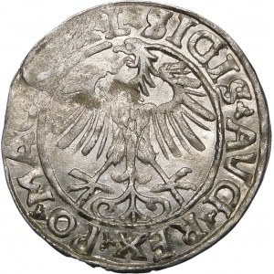 Sigismund II Augustus, Half-penny 1557, Vilnius - L/LITVA