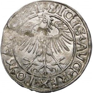 Sigismund II. Augustus, Halbergroschen 1557, Wilna - L/LITVA