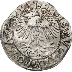 Sigismund II. Augustus, Halbergroschen 1557, Wilna - LI/LITVA