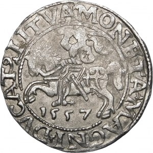 Sigismund II Augustus, Half-penny 1557, Vilnius - LI/LITVA