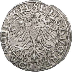 Sigismund II Augustus, Halbgrosse 1557, Vilnius - dreiblättrig - Behm