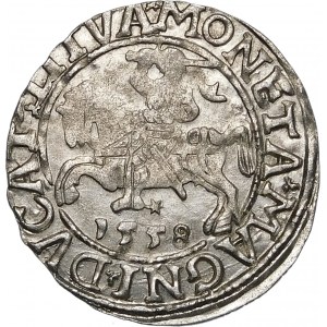 Zygmunt II August, Półgrosz 1558, Wilno – L/LITVA