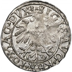 Sigismund II Augustus, Half-penny 1558, Vilnius - L/LITVA