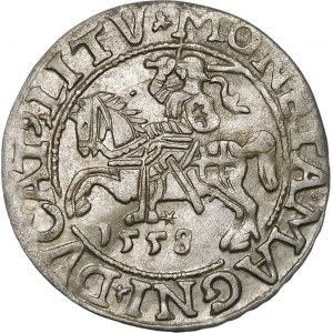 Sigismund II Augustus, Half-penny 1558, Vilnius - LI/LITV