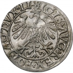 Sigismund II Augustus, Half-penny 1558, Vilnius - LI/LITV