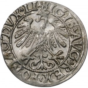 Zikmund II August, půlgroše 1558, Vilnius - LI/LITV