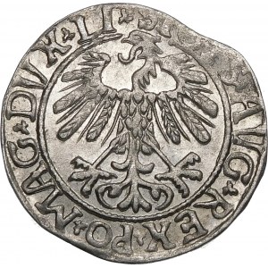 Zikmund II August, půlpenny 1558, Vilnius - LI/LITVA