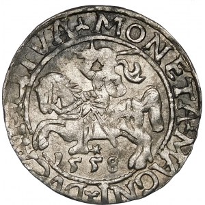 Sigismund II Augustus, halber Pfennig 1558, Vilnius - LITVV/A Blatt - sehr selten