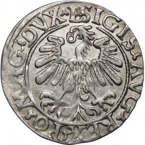 Zikmund II August, půlpenny 1559, Vilnius - L/LITV