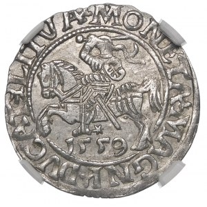 Sigismund II Augustus, Half-penny 1559, Vilnius - L/LITVA