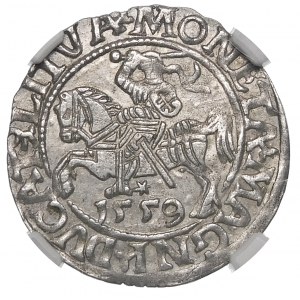 Sigismund II. Augustus, Halbergroschen 1559, Wilna - L/LITVA