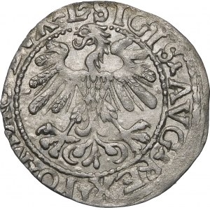 Sigismund II. Augustus, Halbergroschen 1559, Wilna - L/LITVA