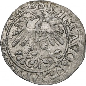 Sigismund II Augustus, Half-penny 1559, Vilnius - L/LITVA