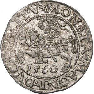 Zikmund II Augustus, půlgroš 1560, Vilnius - DVX L/LITV