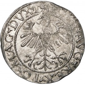 Zikmund II Augustus, půlgroš 1560, Vilnius - DVX L/LITV