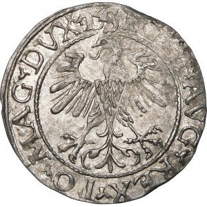 Zygmunt II August, Półgrosz 1560, Wilno – DVX L/LITV