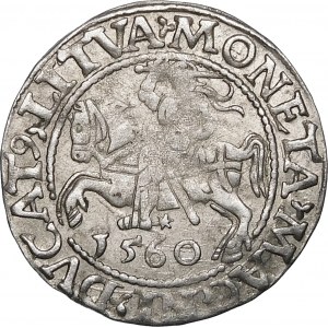 Sigismund II Augustus, Halbpfennig 1560, Wilna - DVX L/LITVA - selten