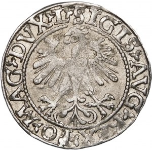Sigismund II Augustus, Halbpfennig 1560, Wilna - DVX L/LITVA - selten