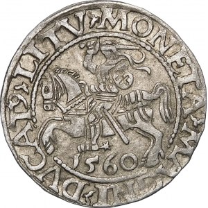 Zikmund II August, půlpenny 1560, Vilnius - DVX LI/LITV - krásný