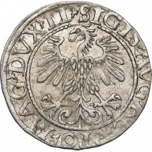 Sigismund II Augustus, Half-penny 1560, Vilnius - DVX LI/LITV - beautiful