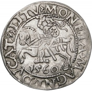 Zikmund II Augustus, půlgroš 1560, Vilnius - DVX L/LITV