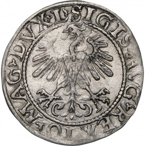 Zygmunt II August, Półgrosz 1560, Wilno – DVX L/LITV