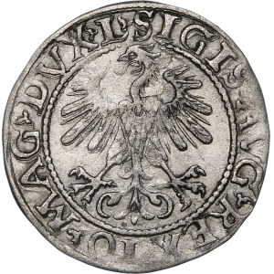 Sigismund II Augustus, Half-penny 1560, Vilnius - DVX L/LITV