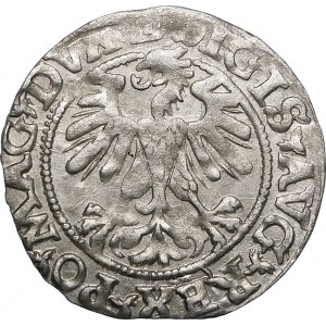 Sigismund II. Augustus, halber Pfennig 1560, Vilnius - DVX L/LITVA