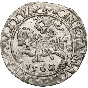 Sigismund II. Augustus, halber Pfennig 1560, Vilnius - DVX LI/LITVA