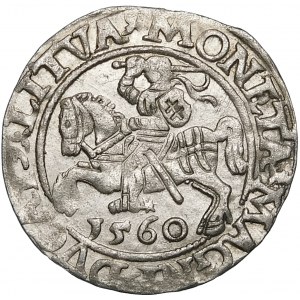 Sigismund II Augustus, Half-penny 1560, Vilnius - DVX LI/LITVA
