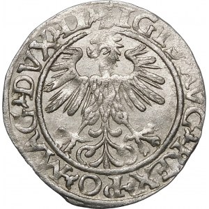 Sigismund II Augustus, Half-penny 1560, Vilnius - DVX LI/LITVA