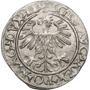 Zygmunt II August, Półgrosz 1560, Wilno – DVX LI/LITVA