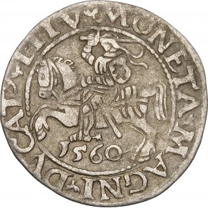 Zikmund II Augustus, půlgroš 1560, Vilnius - DVX L/LITVA - rozeta - vzácné